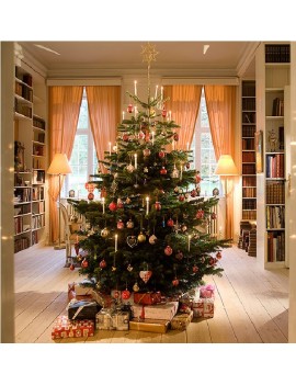 Vianočný stromček veľkosť S (Kaukazská jedľa)